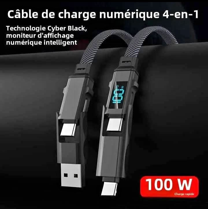 🚀 Câble de Charge USB Type-C 4-en-1 – Charge Ultra Rapide 100W