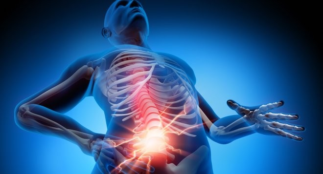 Correcteur de Posture Orthopédique Confort Premium