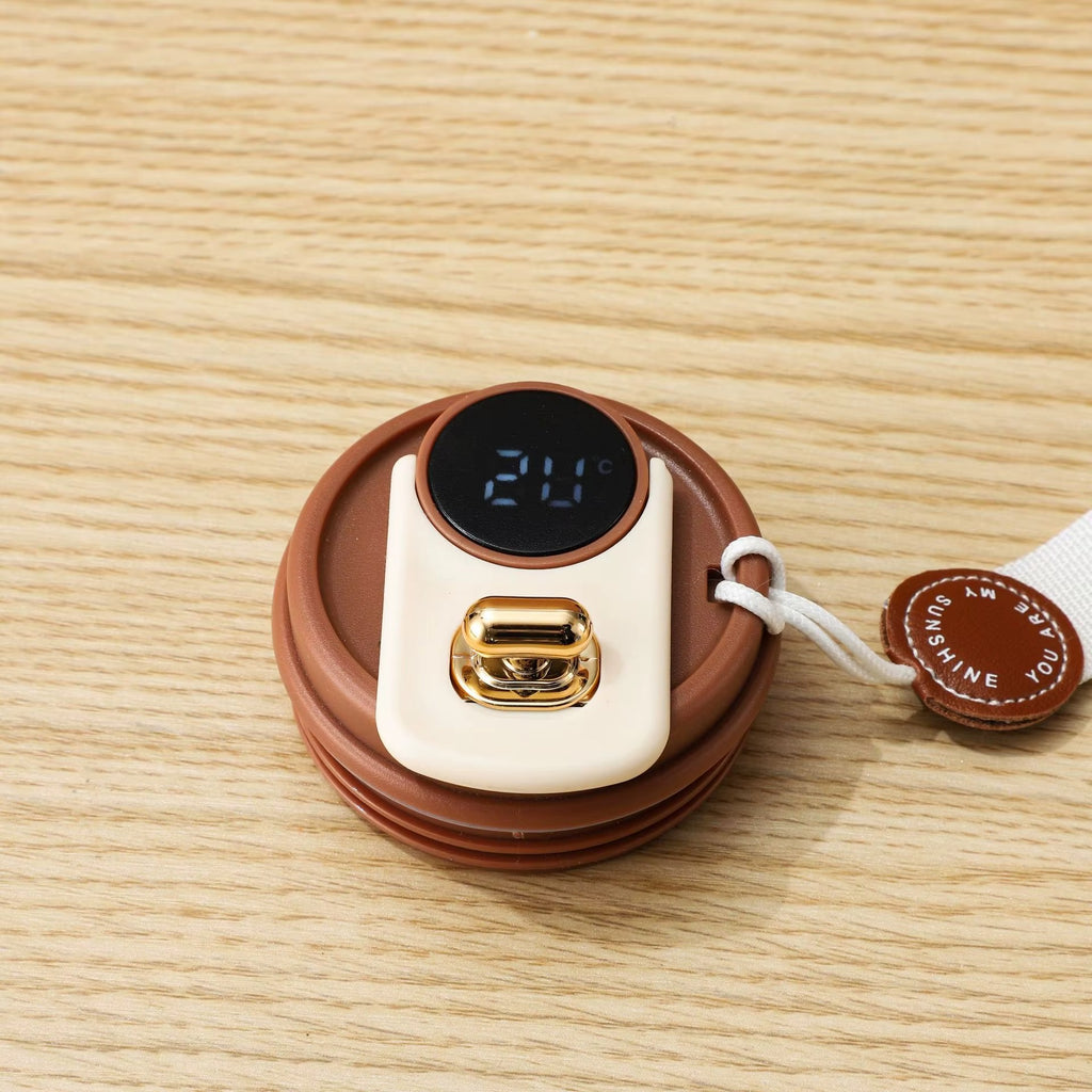 Le Thermostat en Acier Inoxydable 316 Double Paroi